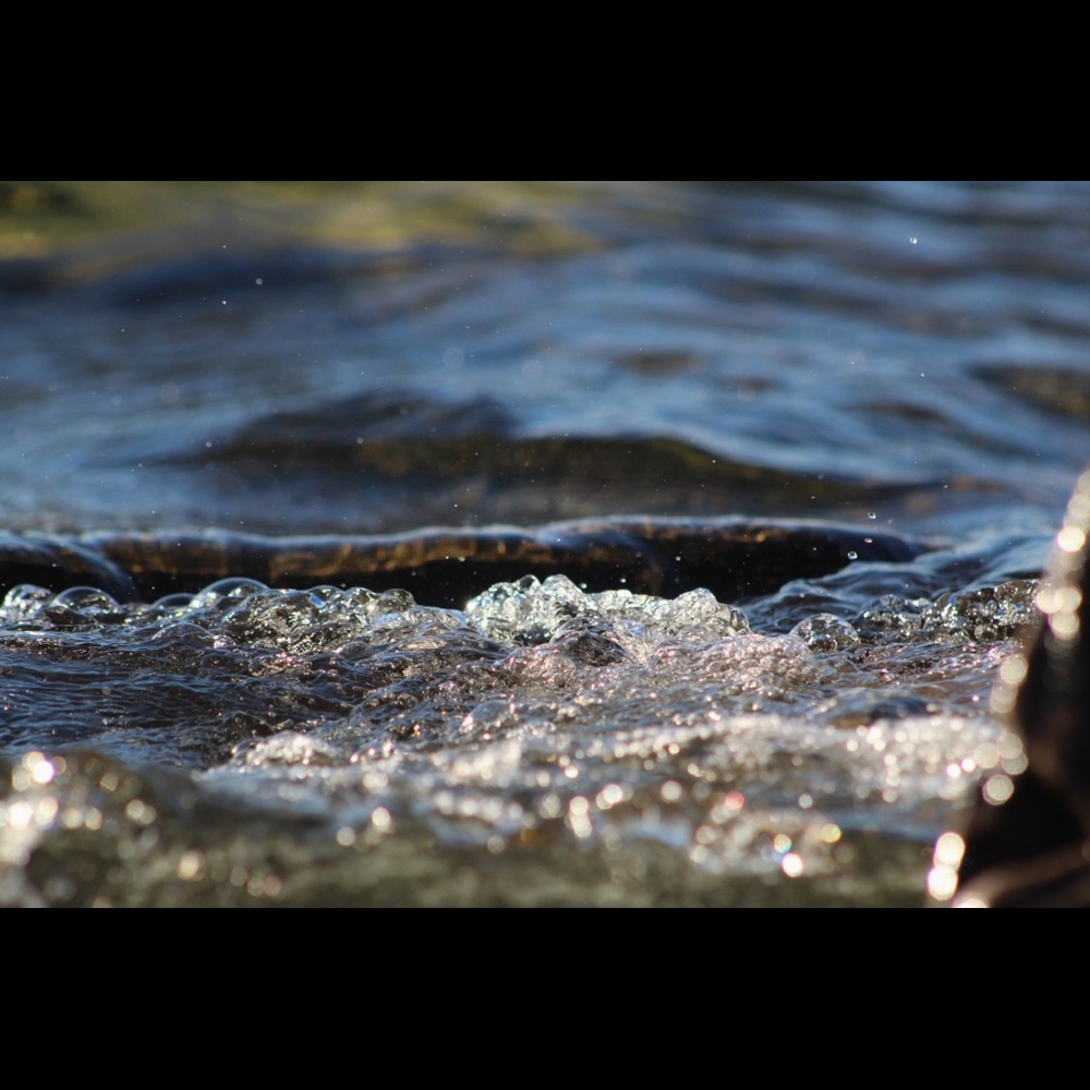 Meet your Posher, Ariana